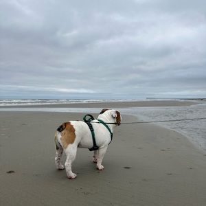 All items will be shipped Saturday!